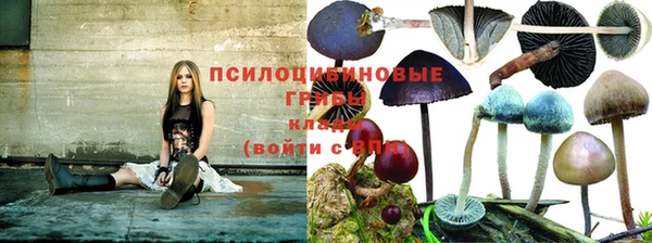 круглые Няндома