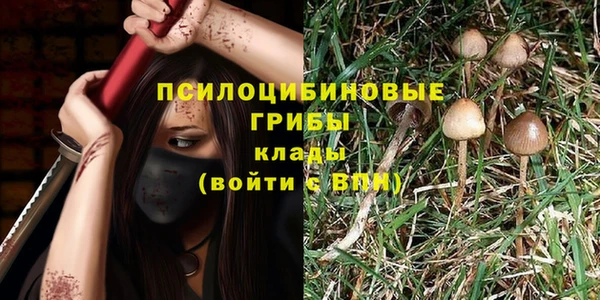 синтетический гашиш Нязепетровск