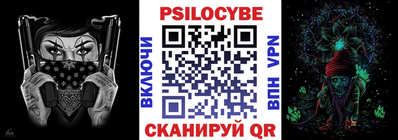 площадка Telegram Болхов Галлюциногенные грибы Cubensis